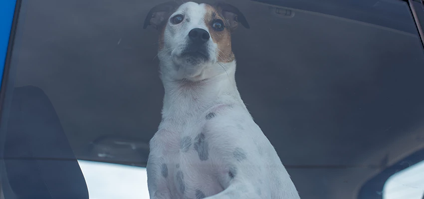 Car Lockout Solutions in Imperial, California